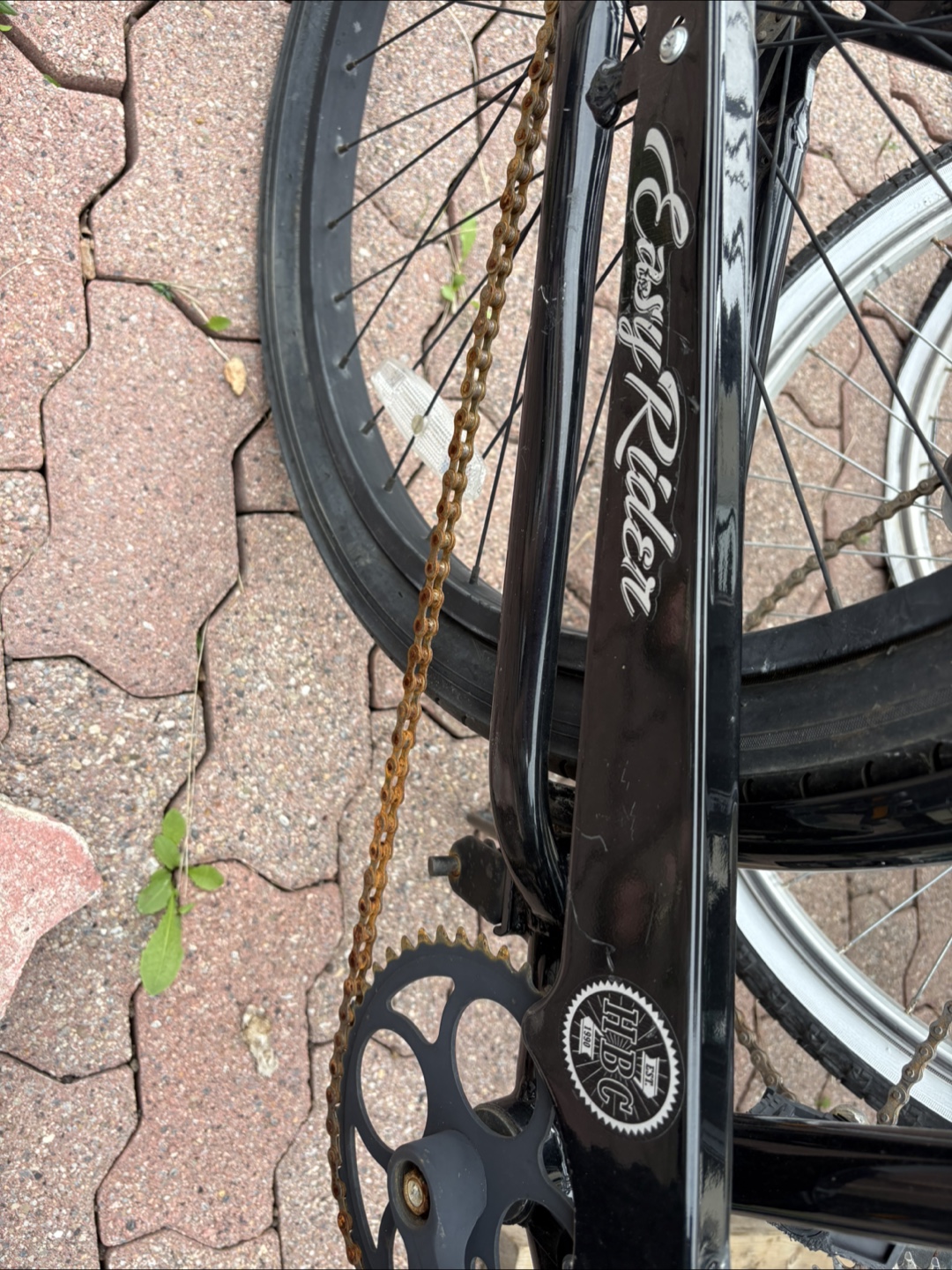 Easy Rider HBC Bicycle - photo 2