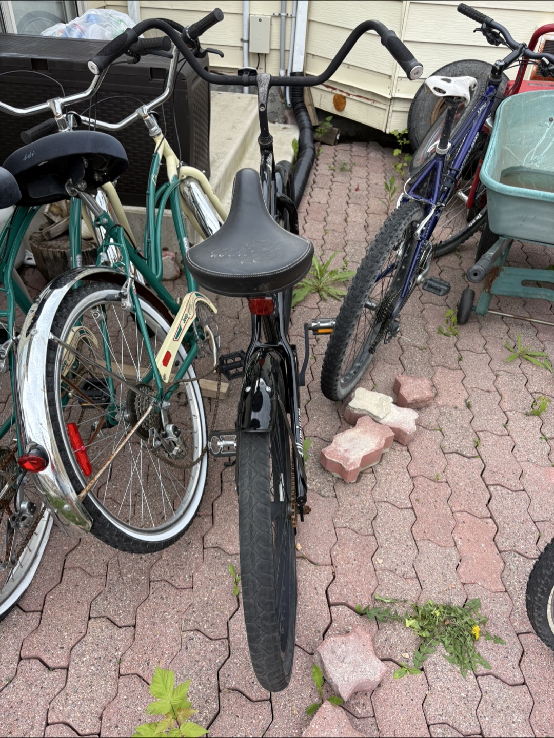Easy Rider HBC Bicycle