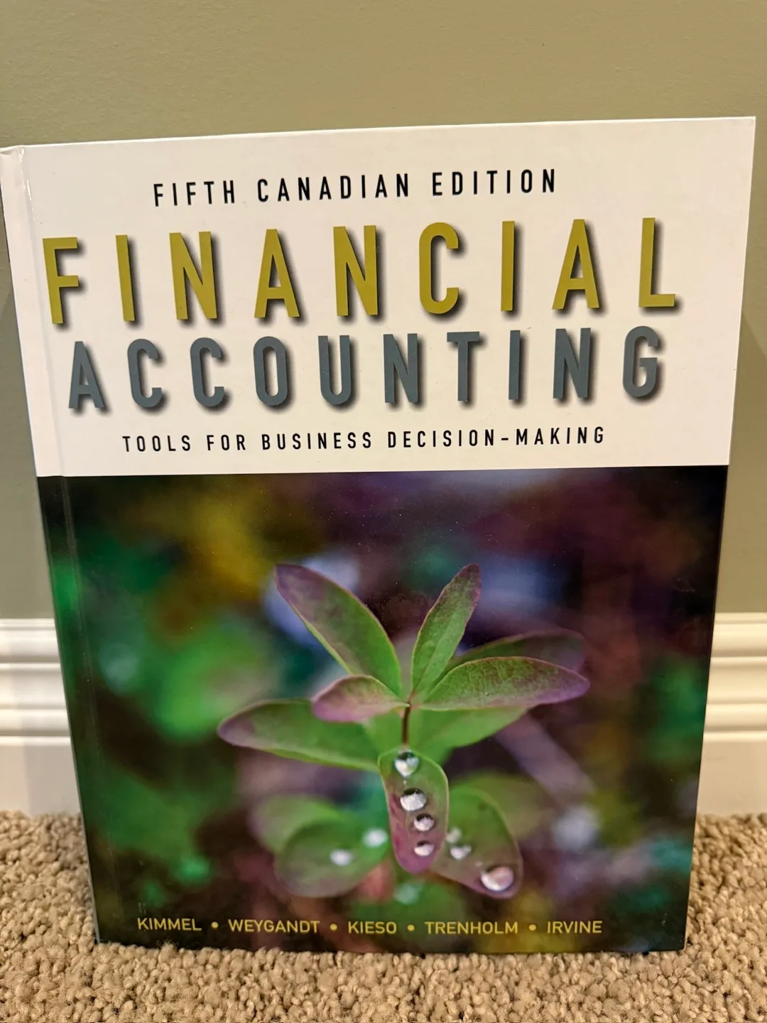 Financial Accounting: Fifth Canadian Edition thumbnail