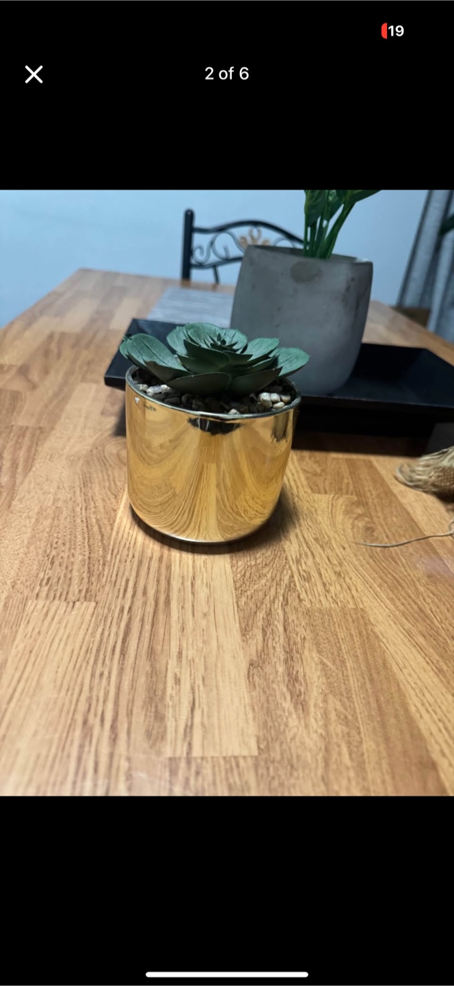 HomeSense Artificial Plants and others  - Set of 3 - photo 2