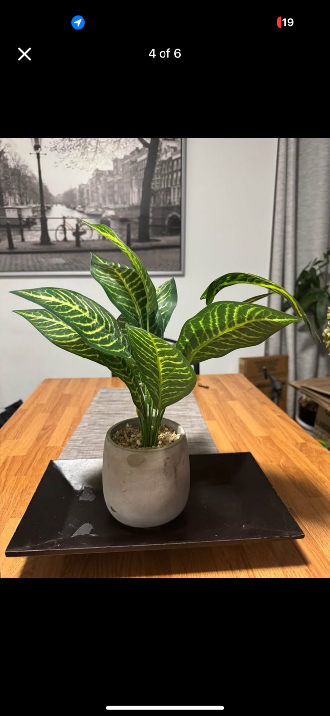 HomeSense Artificial Plants and others  - Set of 3 - photo 4
