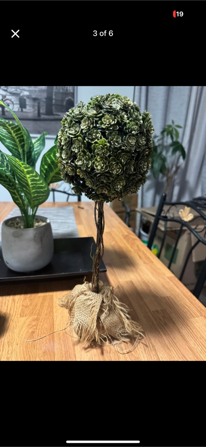 HomeSense Artificial Plants and others  - Set of 3 - photo 3