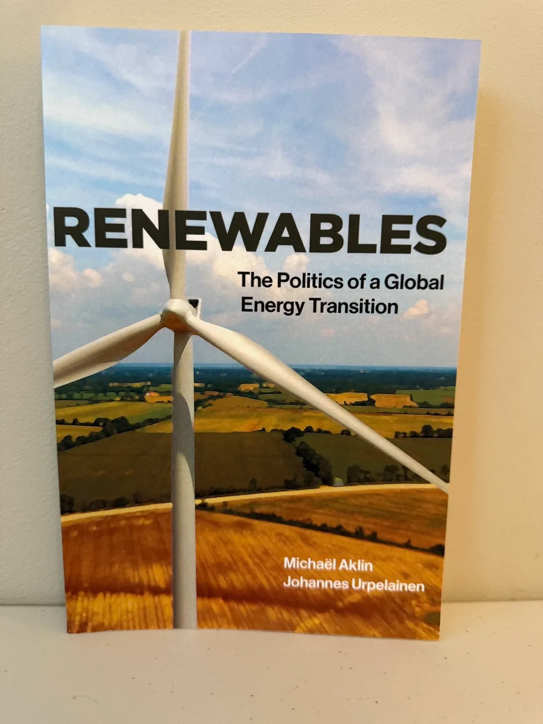 Renewables: The Politics of a Global Energy Transition thumbnail