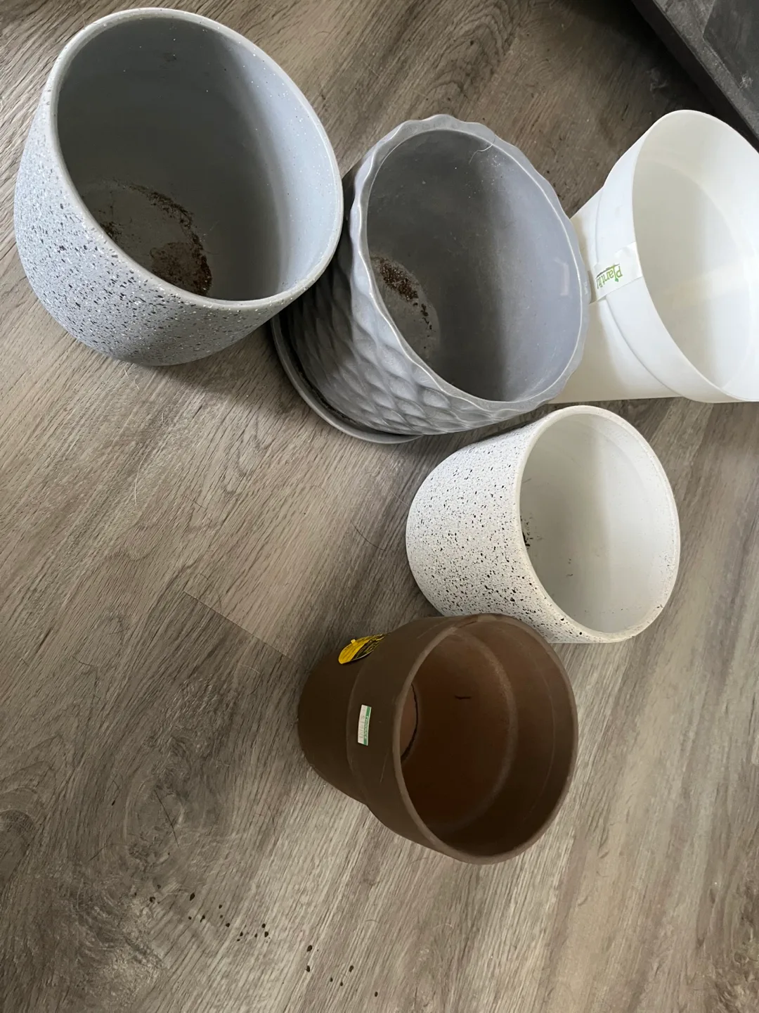 Assorted Plant Pots 🧡 thumbnail