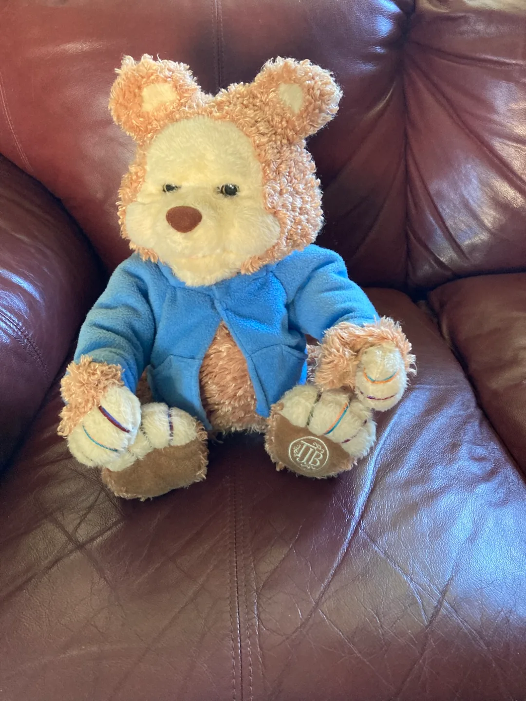 Playskool Bearytales T.J. Bear Toy thumbnail