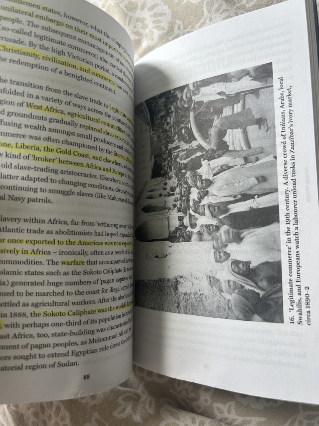 African History Book - photo 4