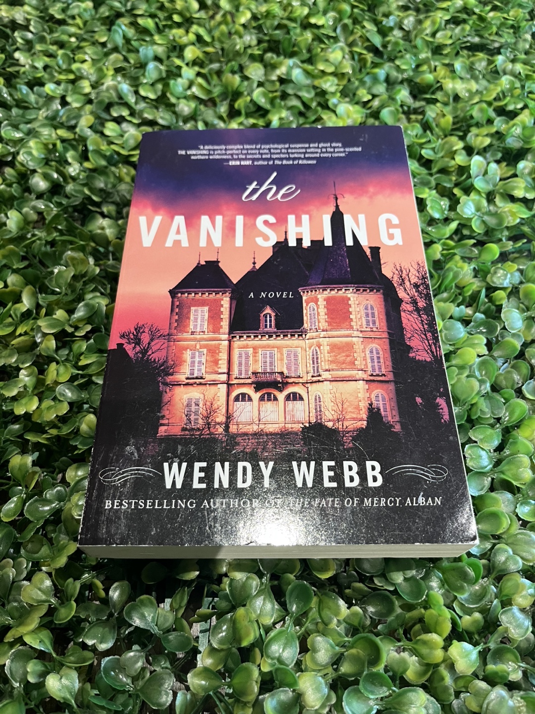 The Vanishing Wendy Webb