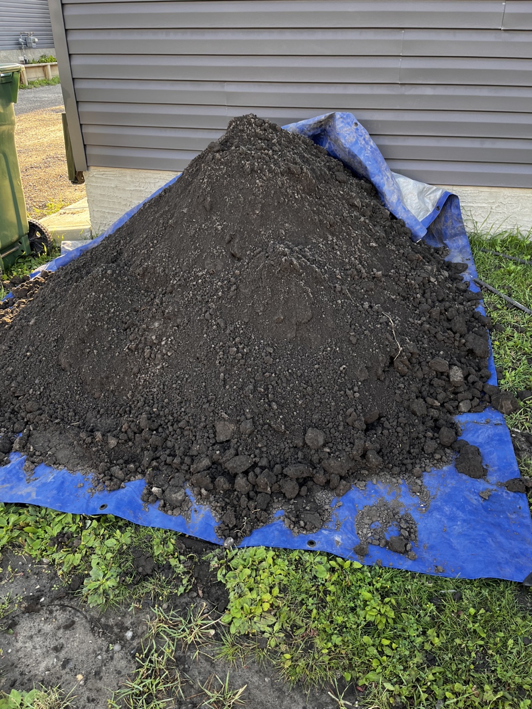 Free fill/ garden dirt