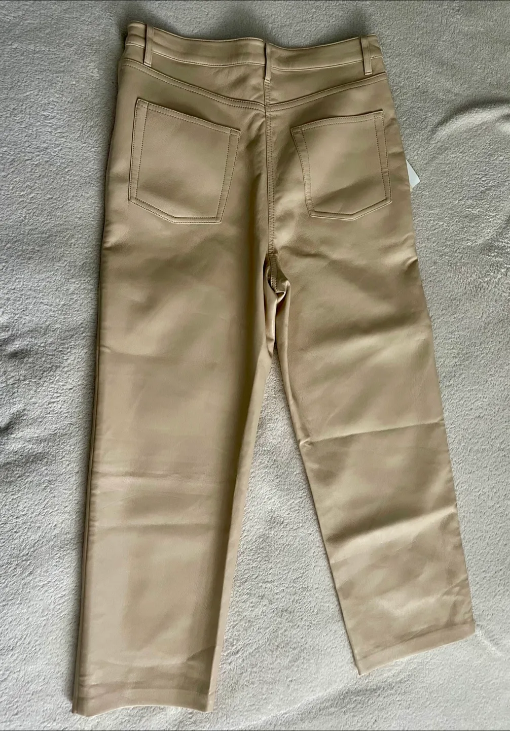 Wilfred Free Vegan Leather Pants Size 8 image indicator(2)