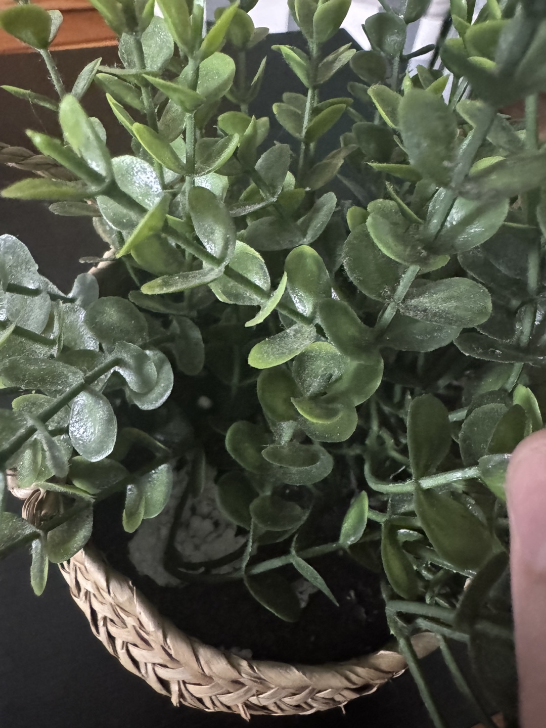 Small Artificial Plant in Woven Basket - photo 3