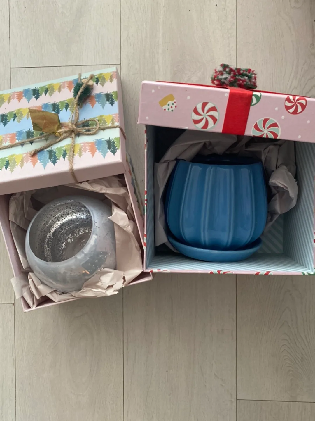 Cute Decorative Planters with lovely gift boxes thumbnail