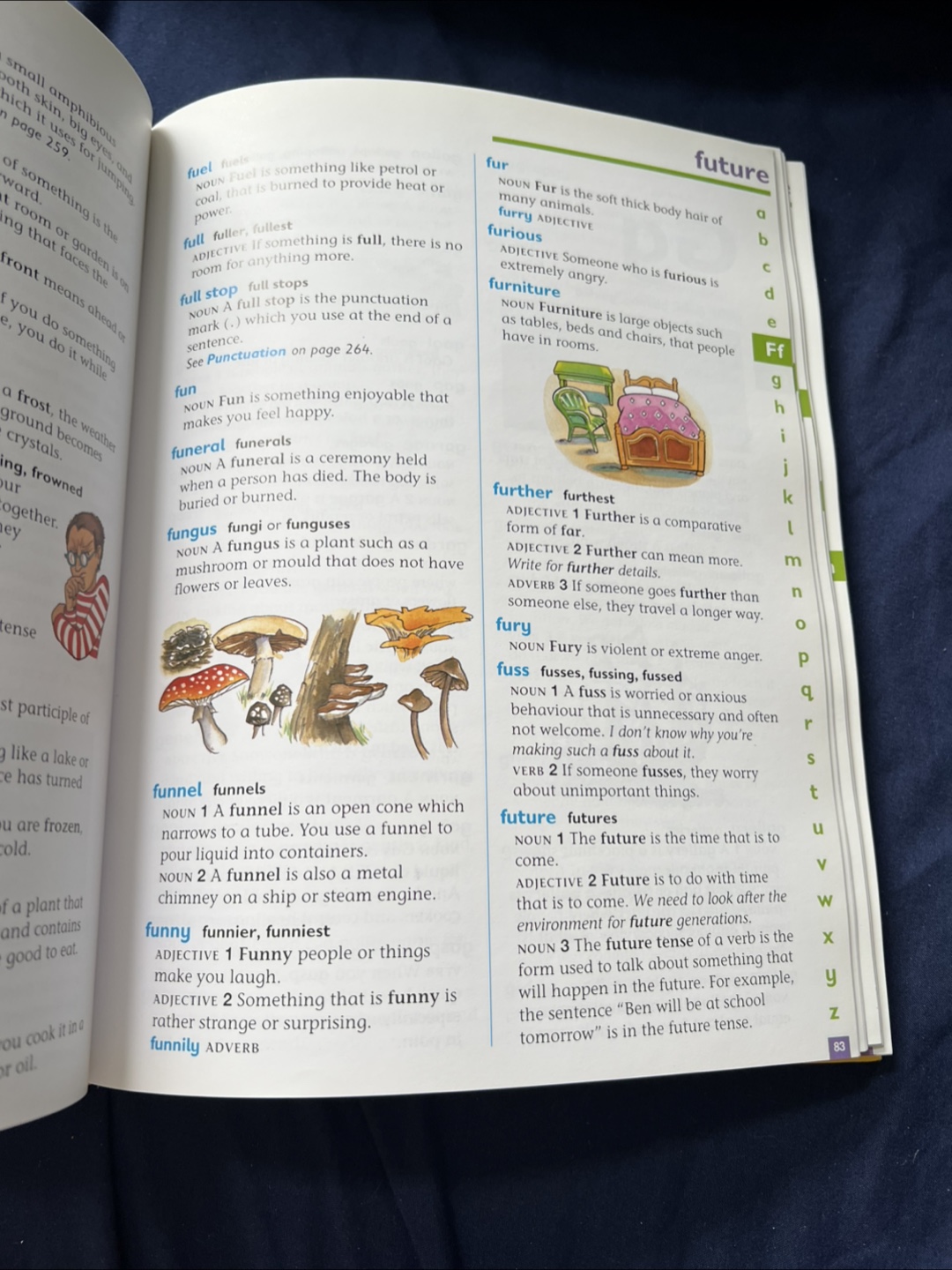 Collins Junior Dictionary - photo 2