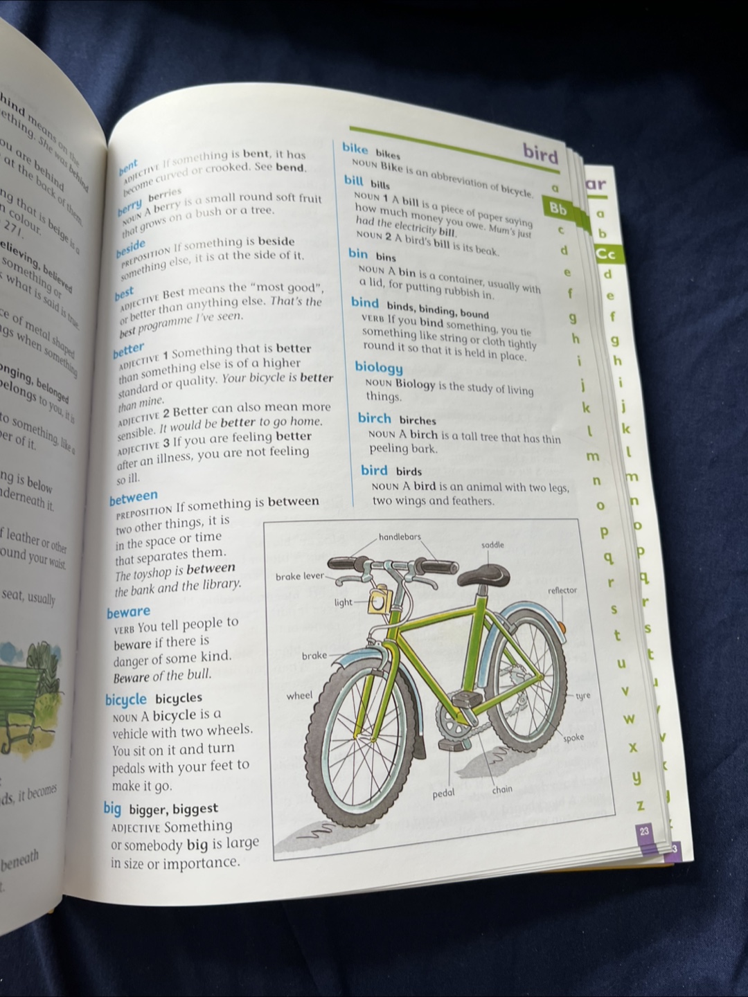 Collins Junior Dictionary - photo 3