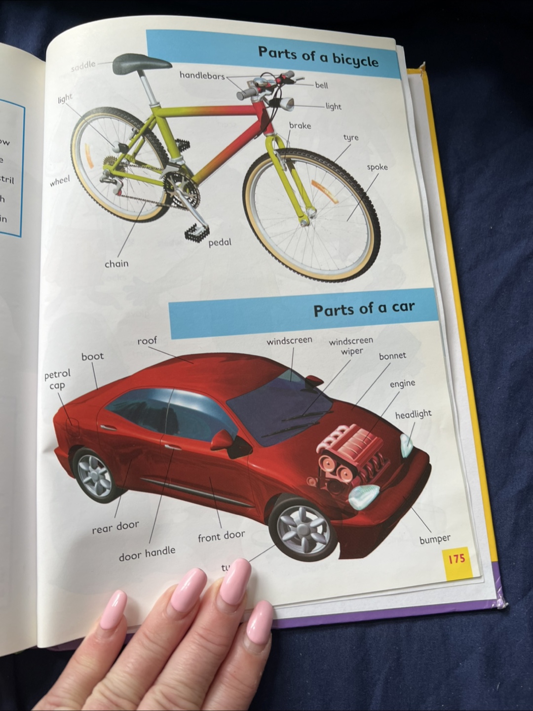 Collins First School Dictionary - photo 5