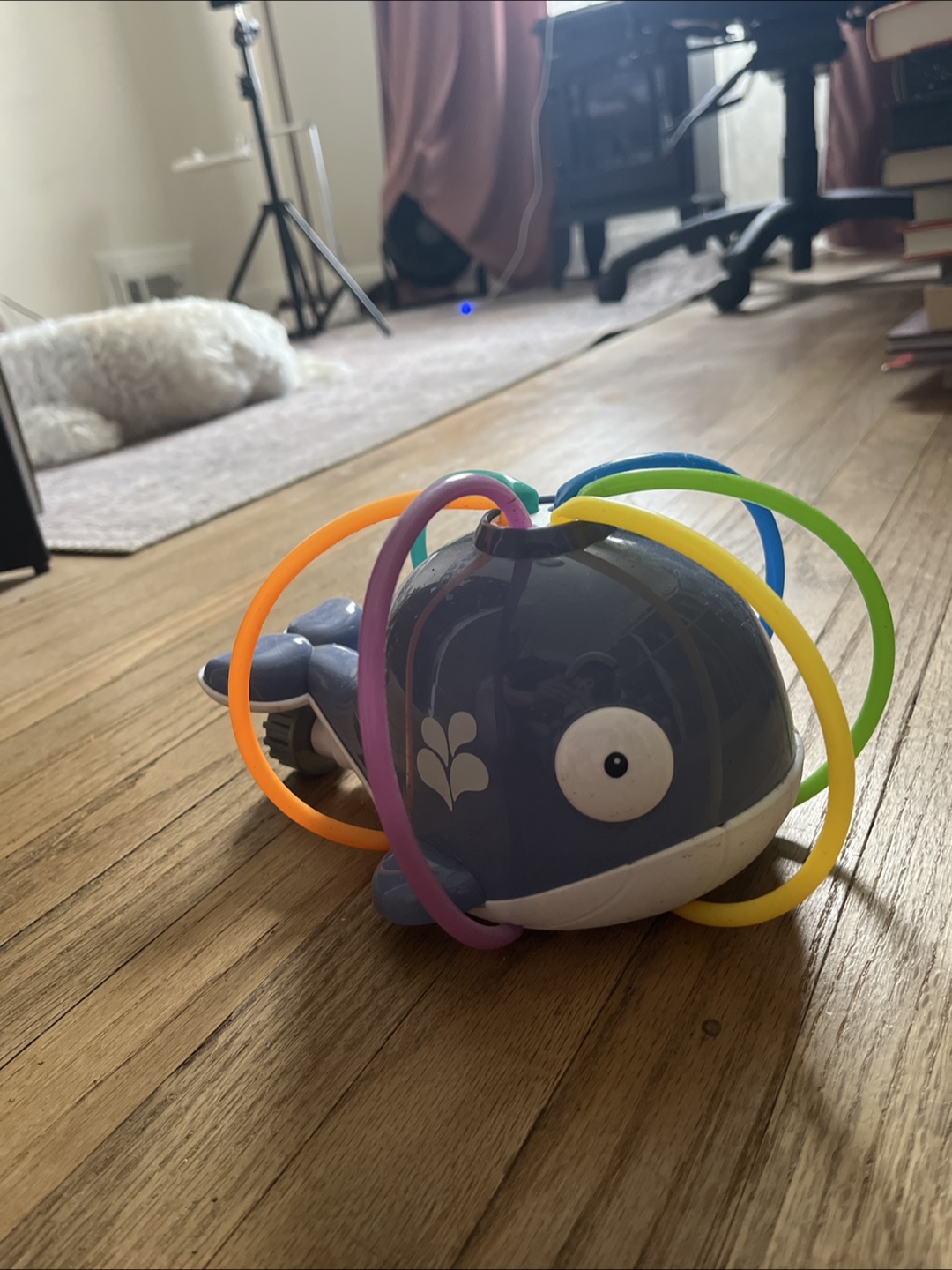 🧡Water Sprinkler Whale Toy