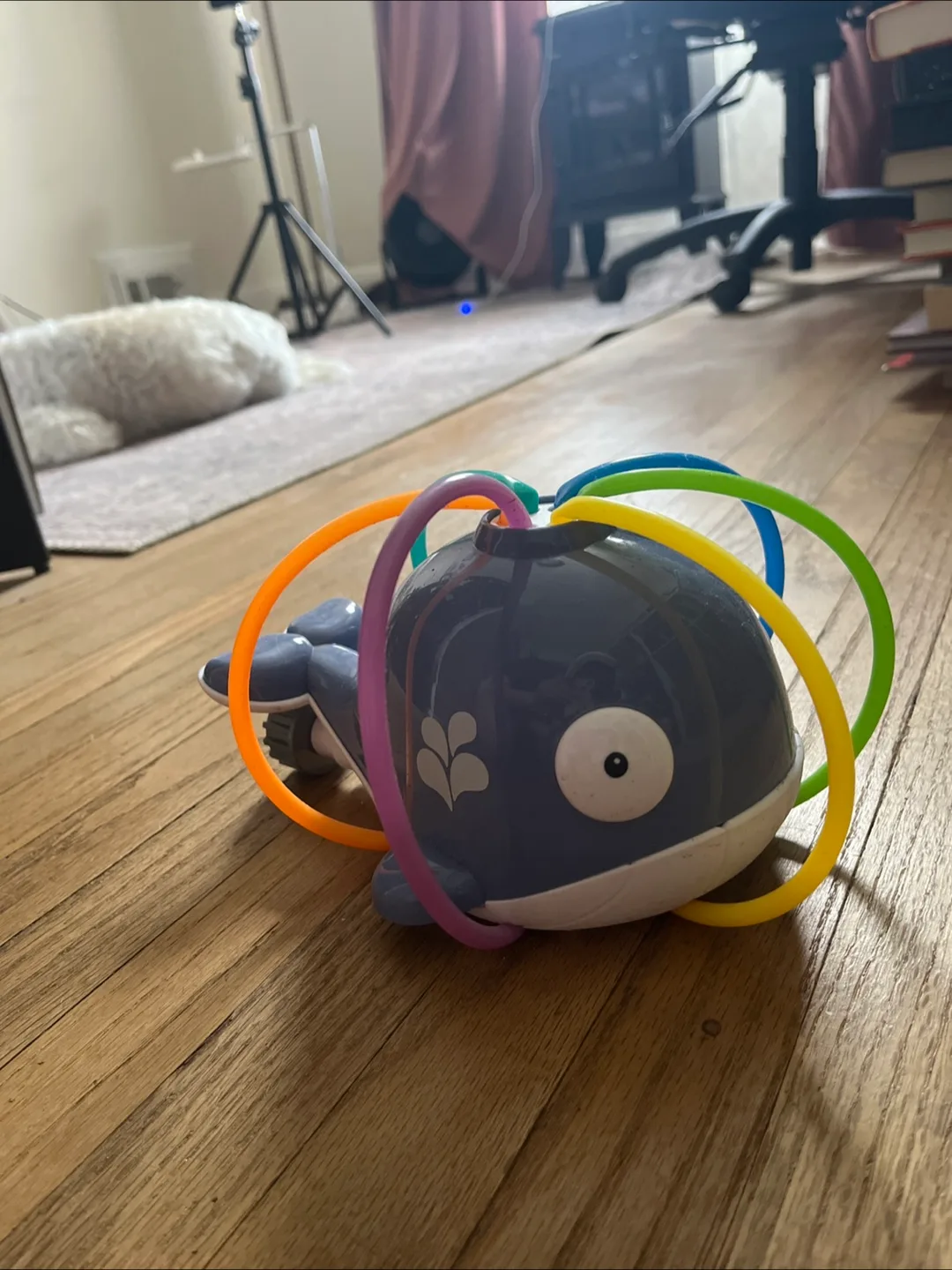 🧡Water Sprinkler Whale Toy thumbnail