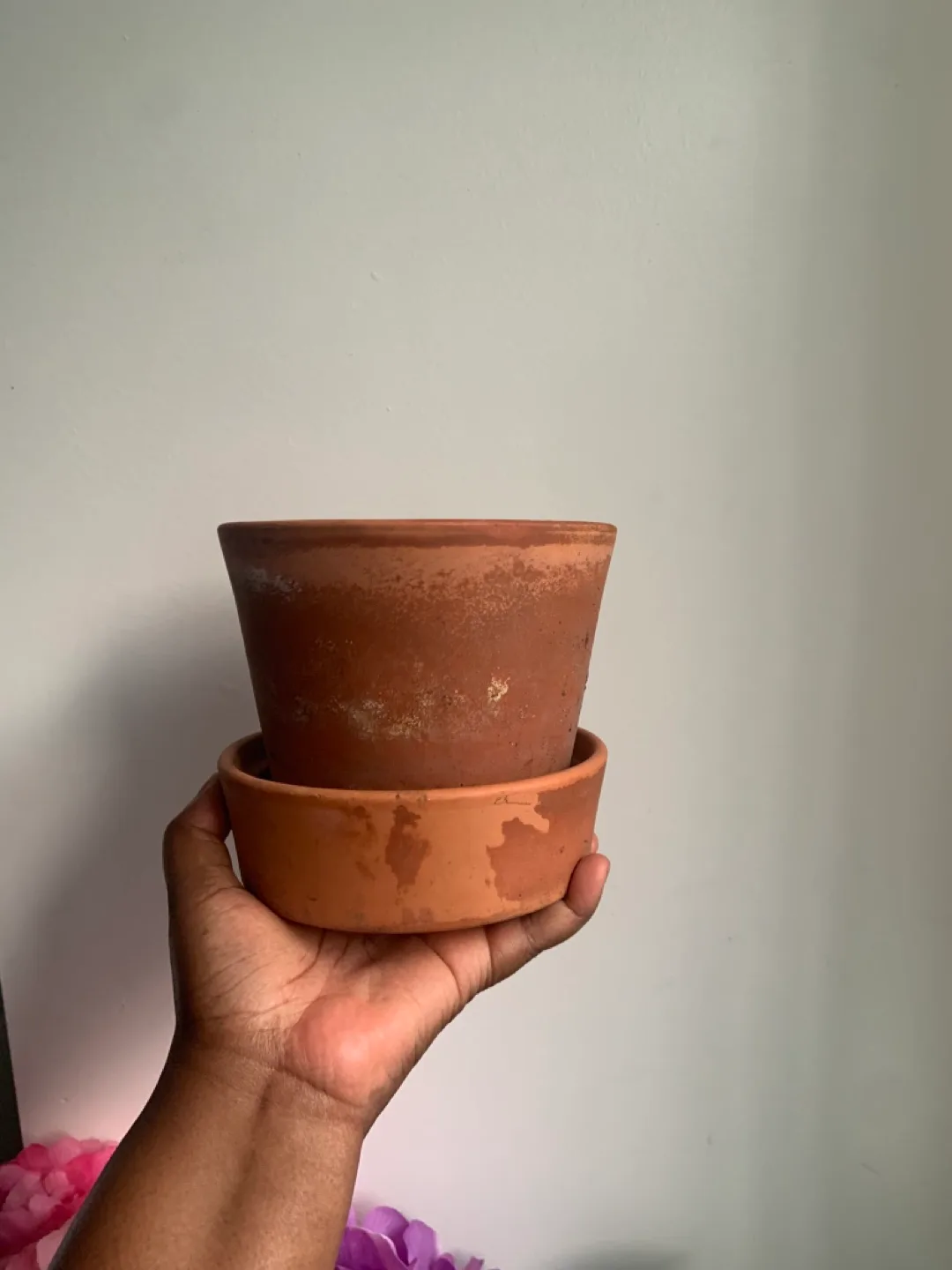 10 terracotta pots. 🪴 image indicator(4)