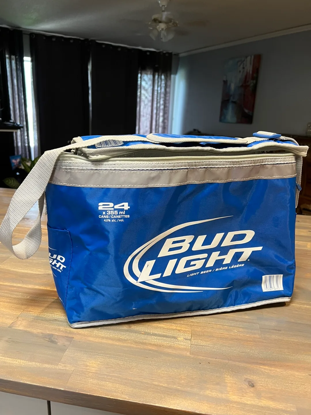24 Can Cooler Bag & Food Delivery Bag thumbnail