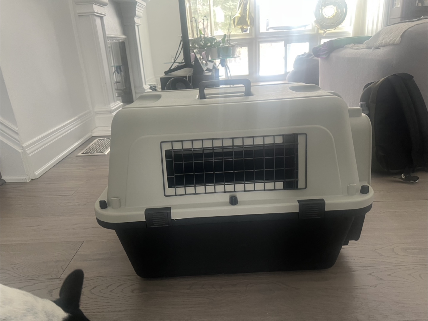 Pet Carrier - 70x52x48cm - photo 3