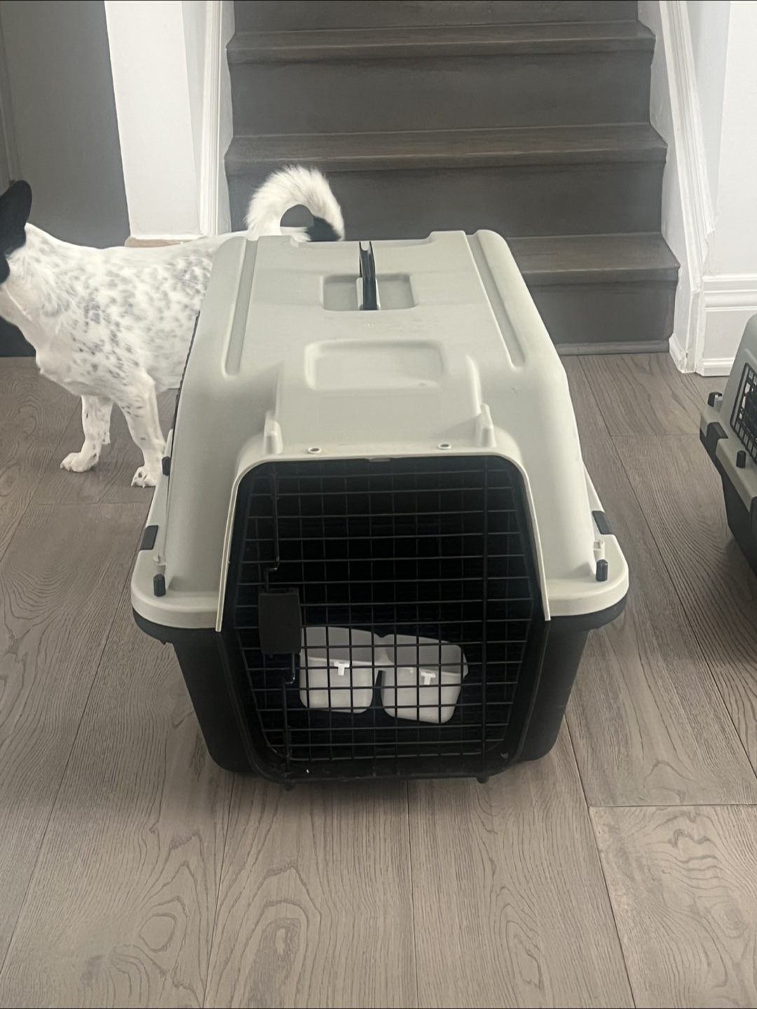 Pet Carrier - 70x52x48cm