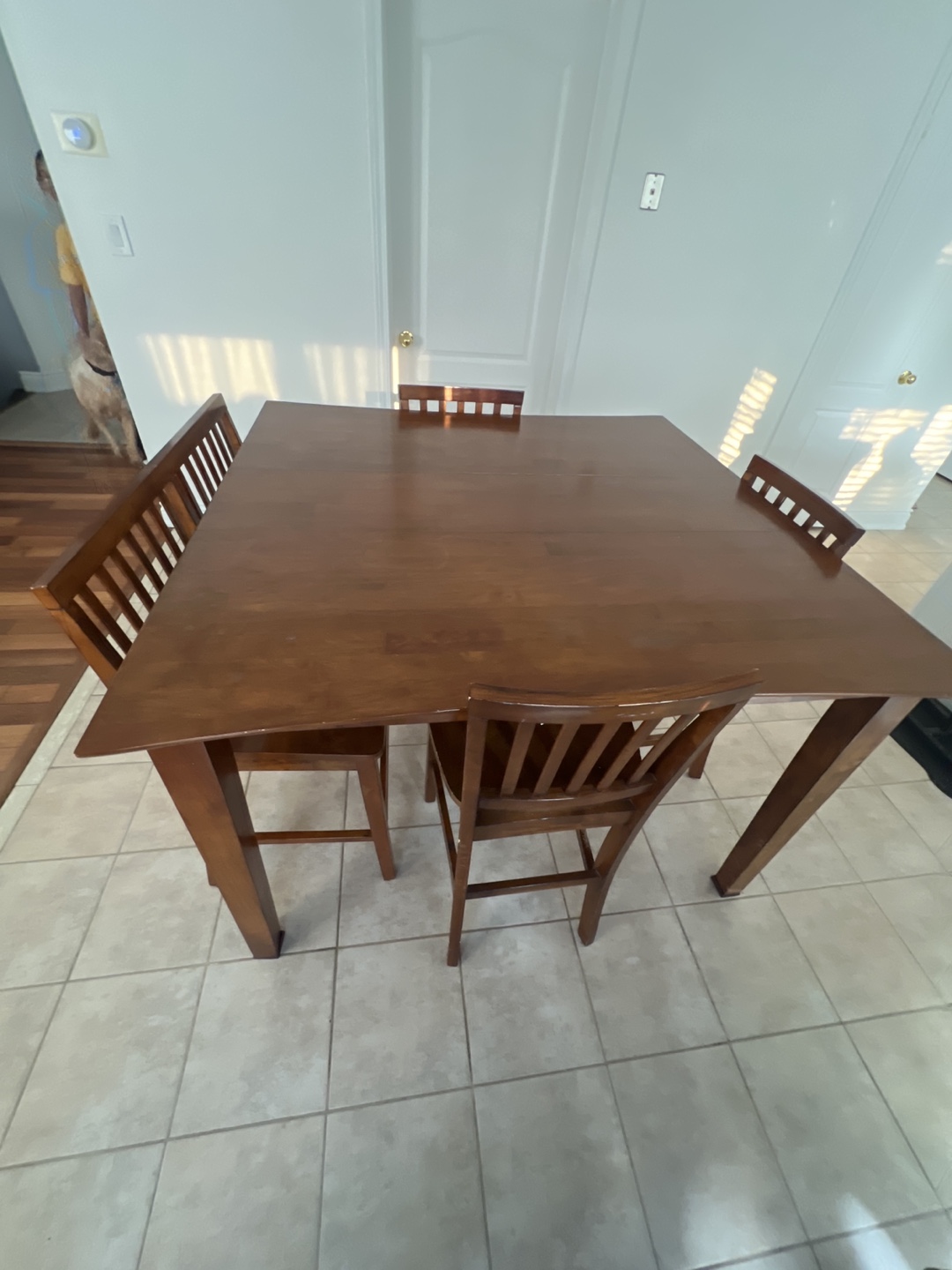 Wood Dining Table with 4 Chairs