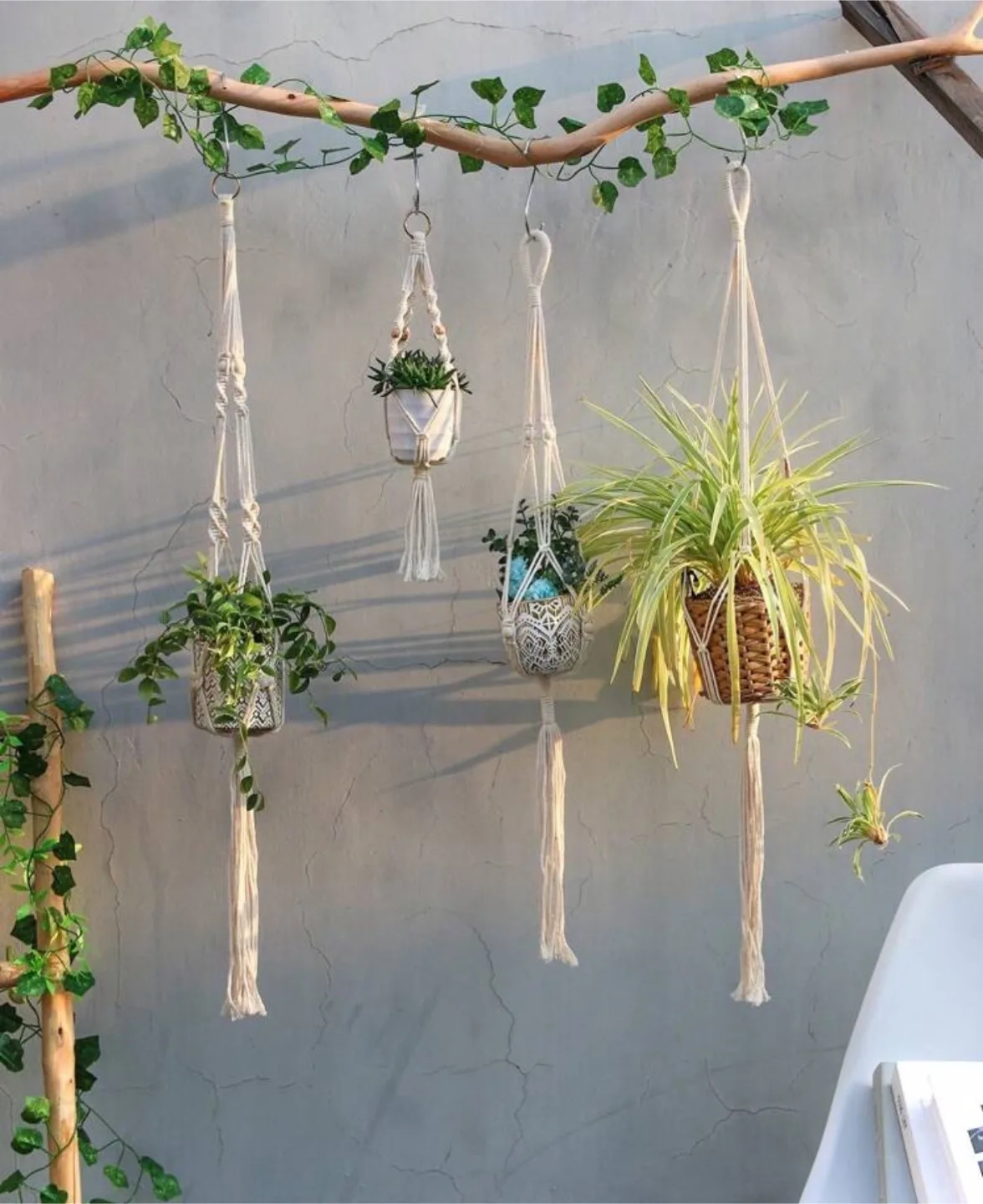 Macrame Plant Hangers (Set of 6)