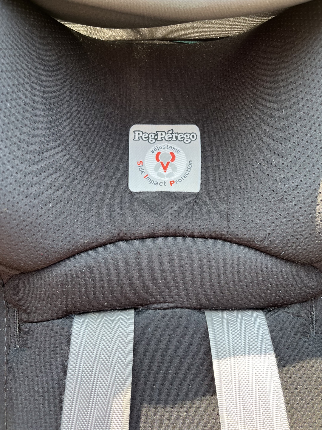 Peg Perego Primo Viaggio 4-35 Car Seat - photo 3