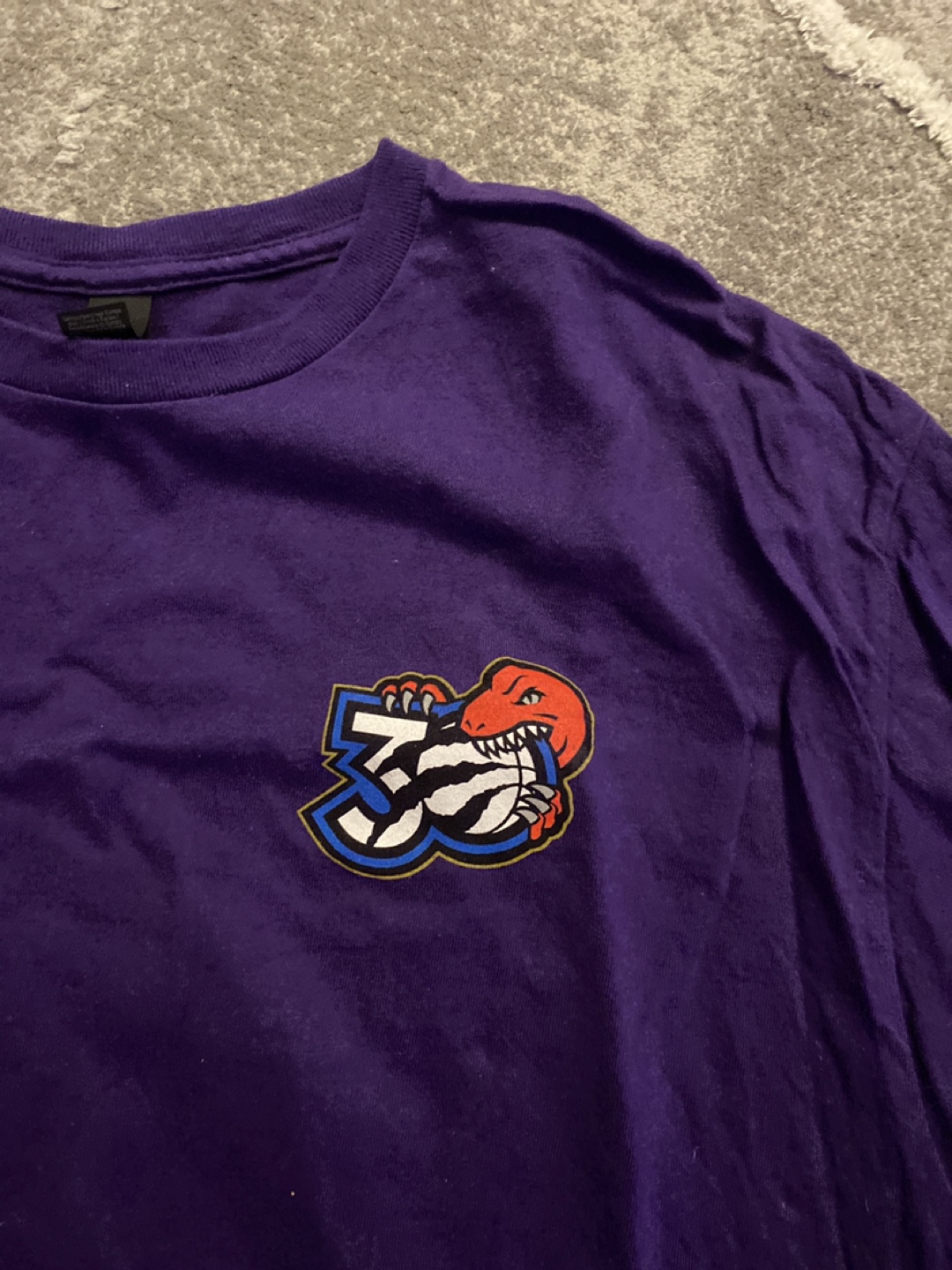 Toronto Raptors North Side Since '95 Tee