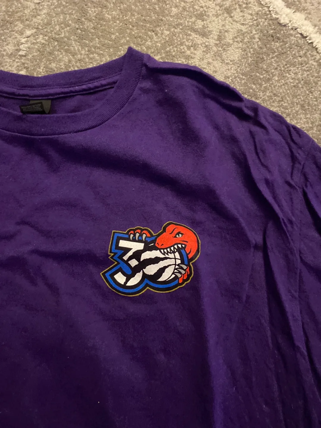 Toronto Raptors North Side Since '95 Tee thumbnail