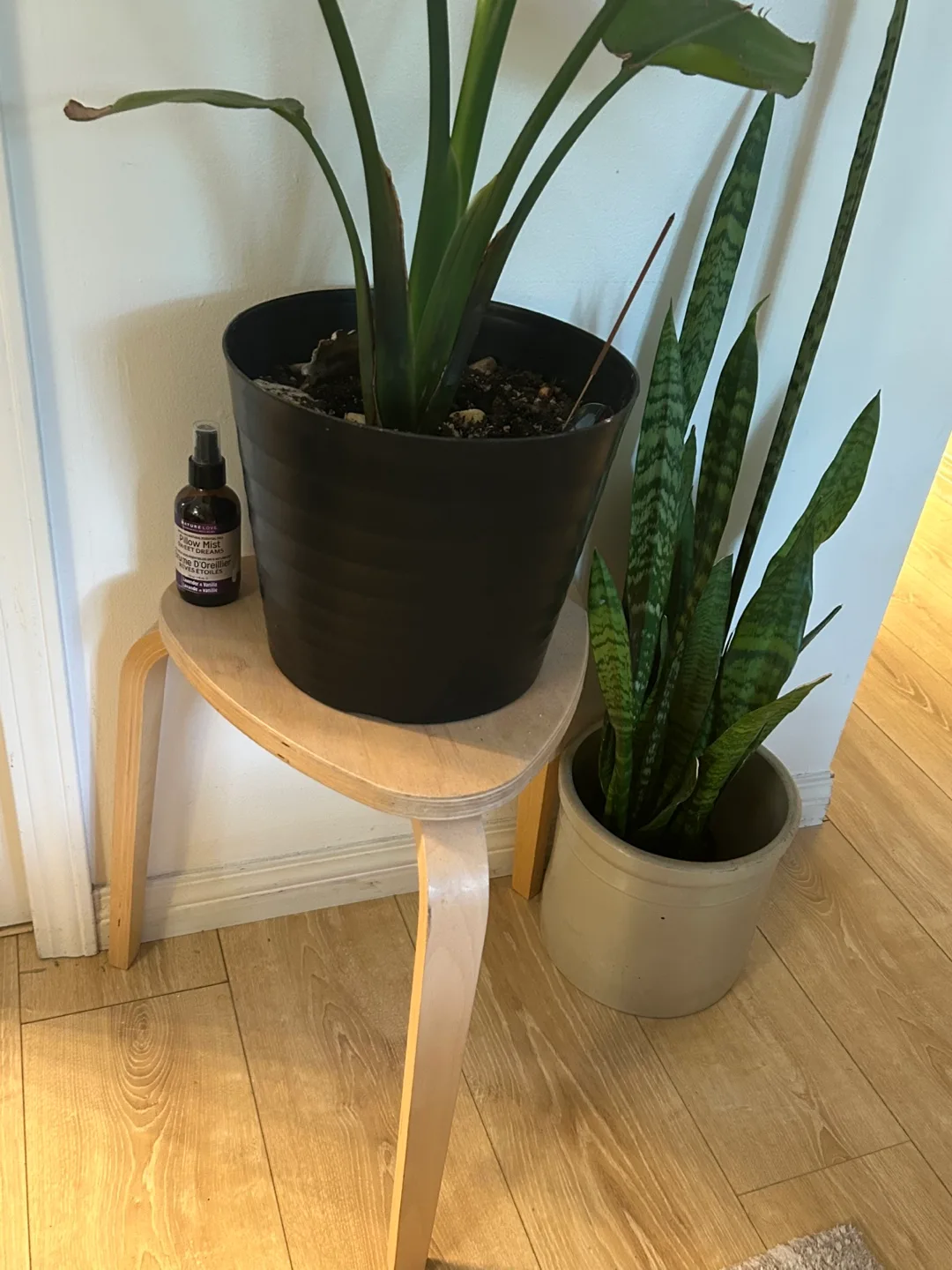 IKEA Oddvar Stool thumbnail