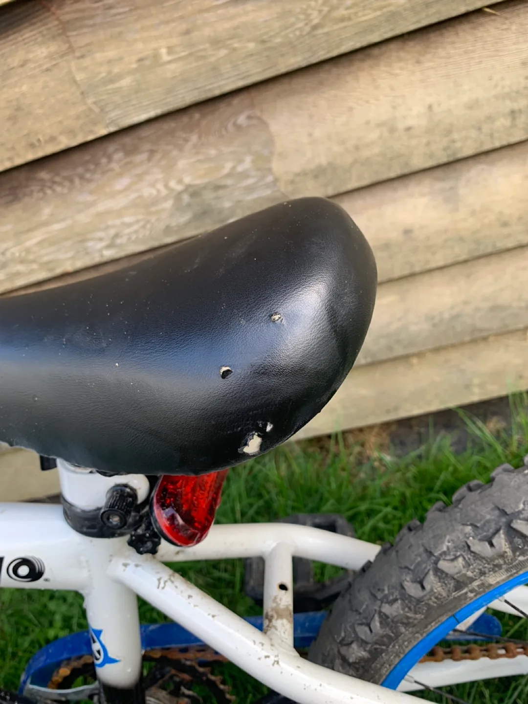 Avigo Fierce 20" Kids' Bike - Blue & White image indicator(3)