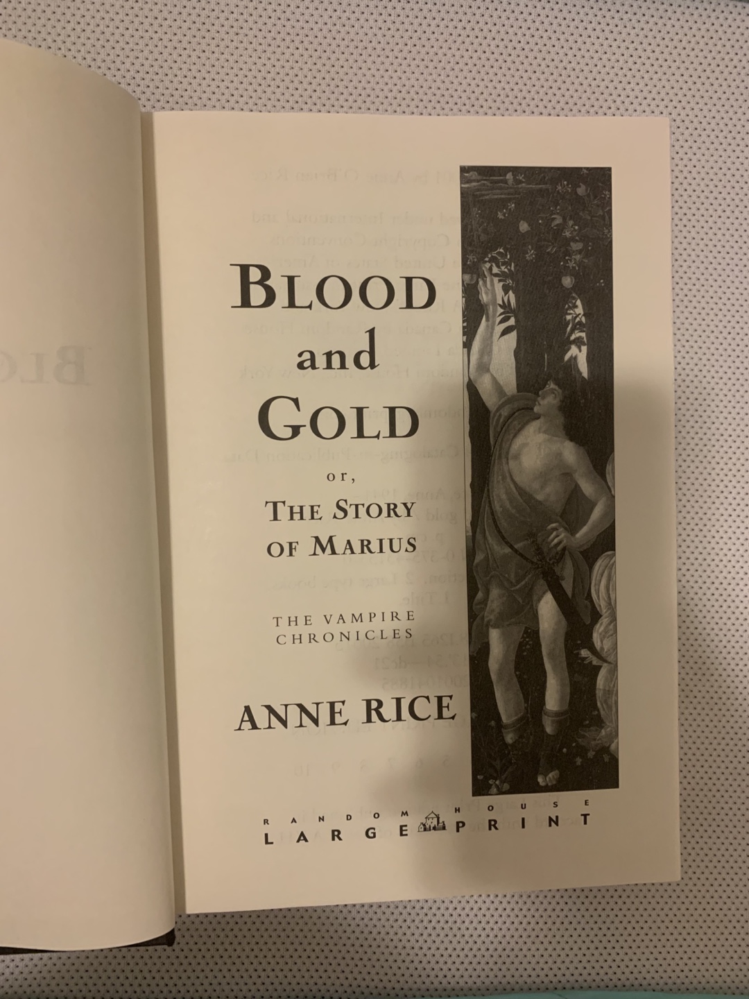 Blood and Gold by Anne Rice – Hardcover Vampire Chronicles - photo 5