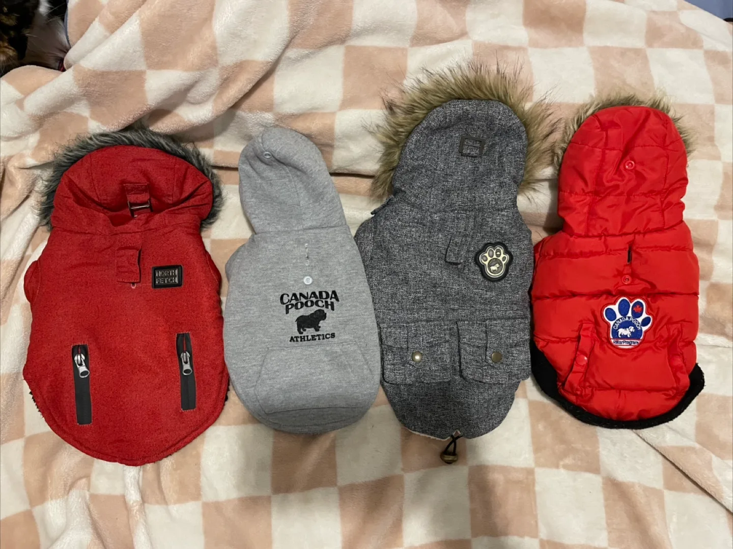 XS 10”Dog Winter Coats- Canada Pooch & North Fetch thumbnail