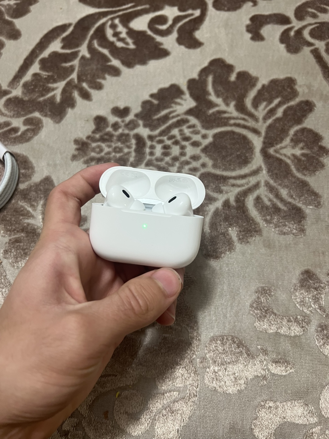 Apple AirPods Pro - photo 5