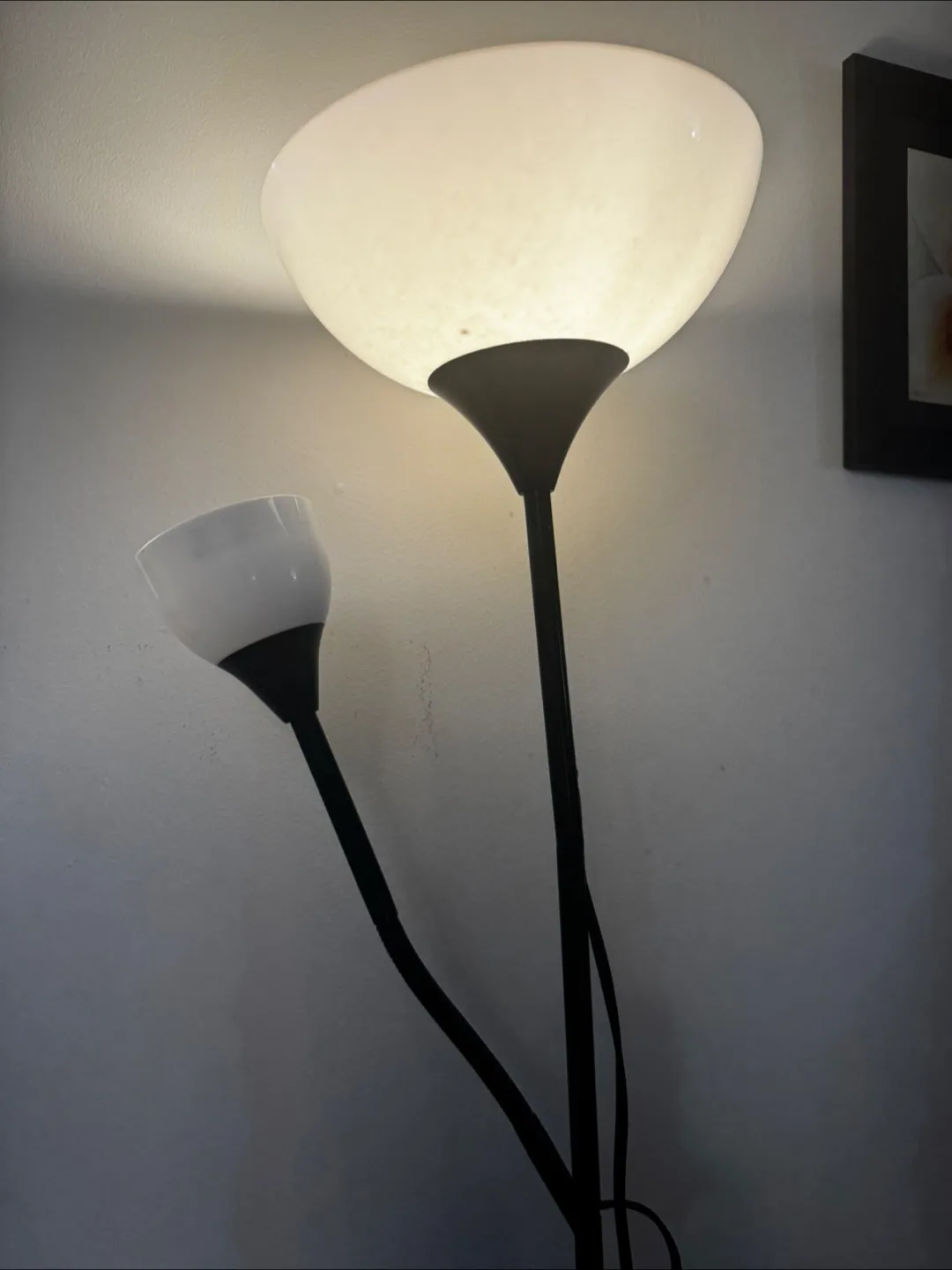 Black Floor Lamp with Double Lights thumbnail