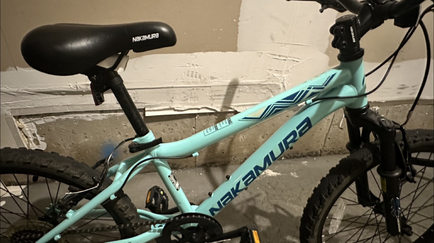 20” Nakamura Mountain Bike - Light Blue - photo 3