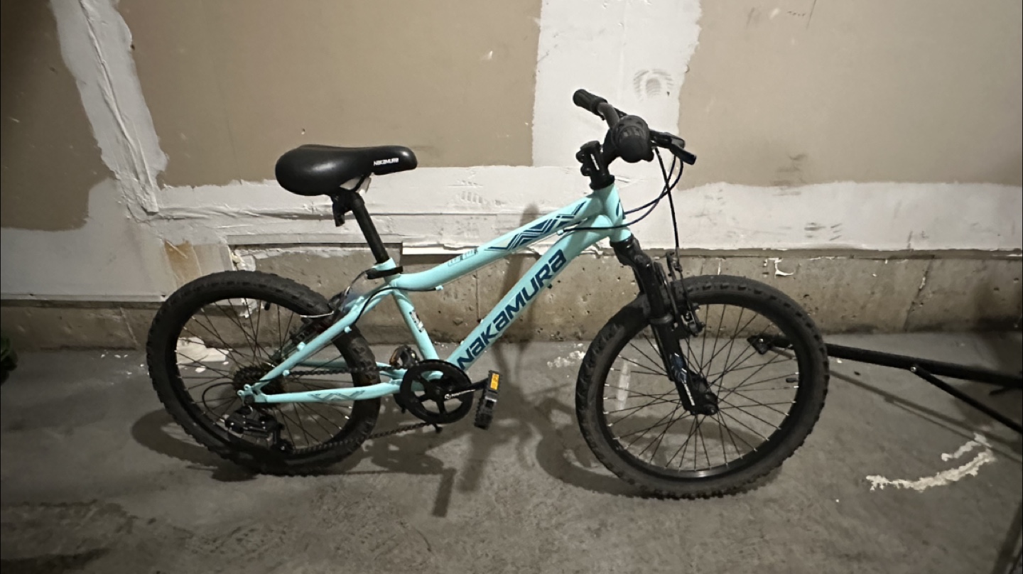 20” Nakamura Mountain Bike - Light Blue