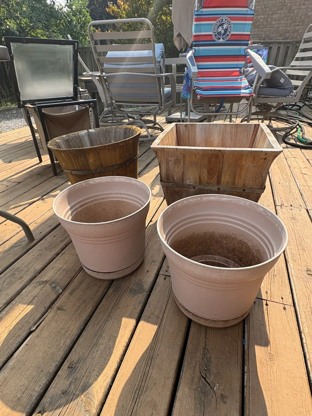 Assorted Garden Pots thumbnail