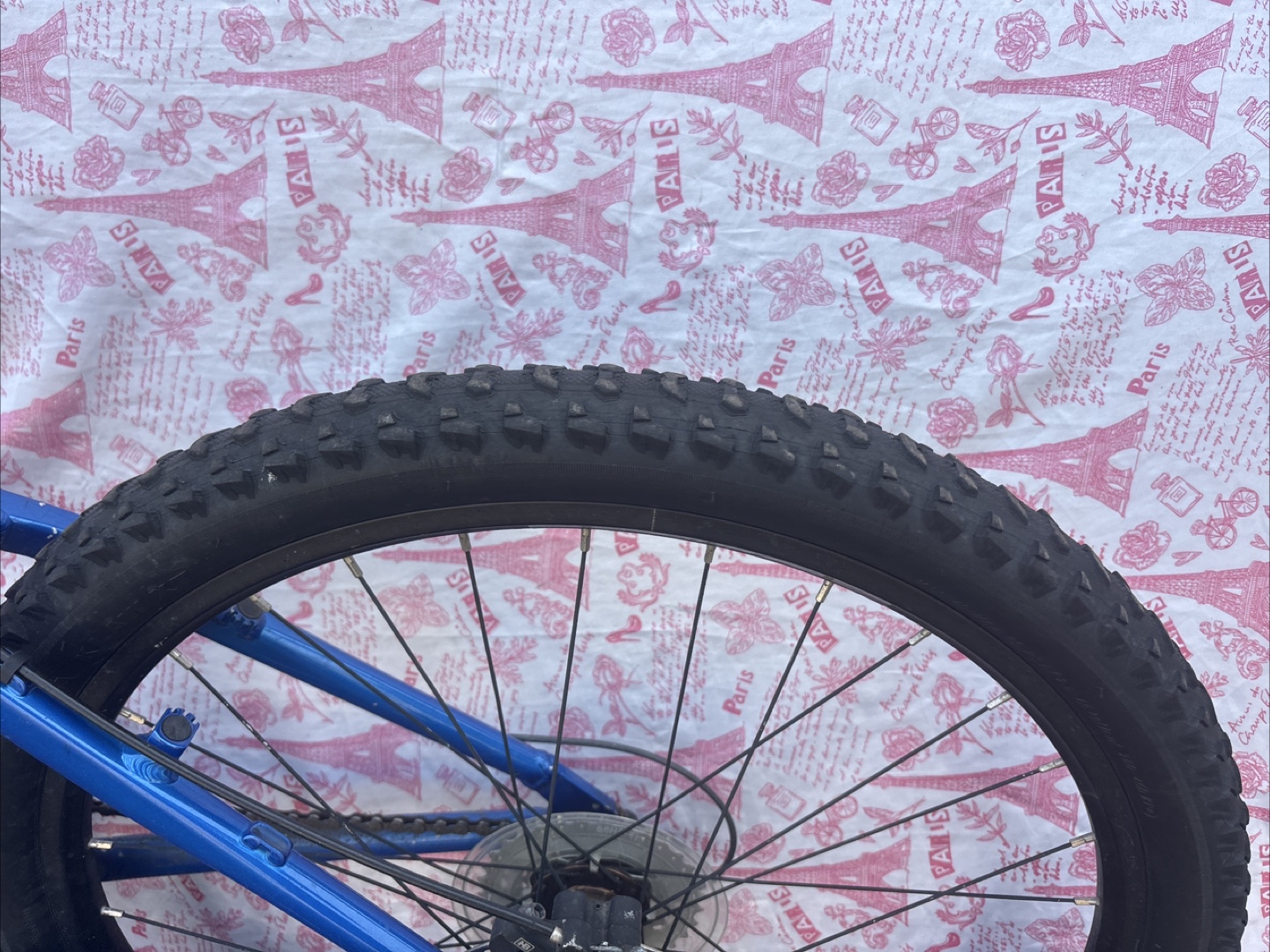 DB Response 300 Mountain Bike - Blue - photo 2