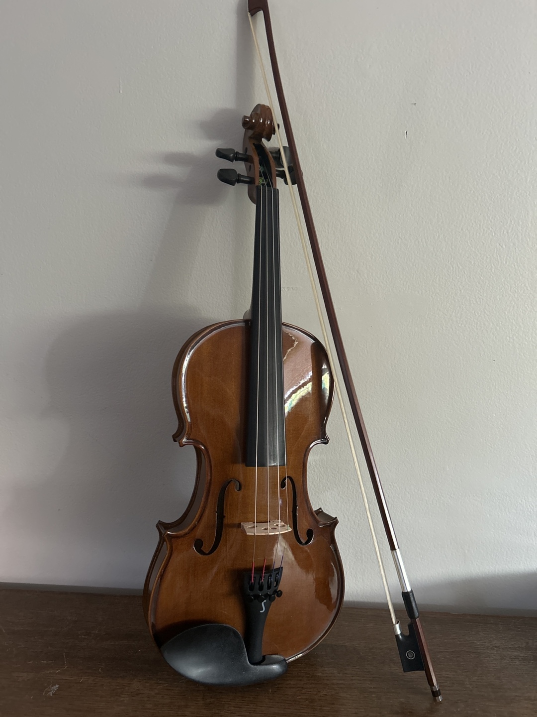 Violin with Bow and Case