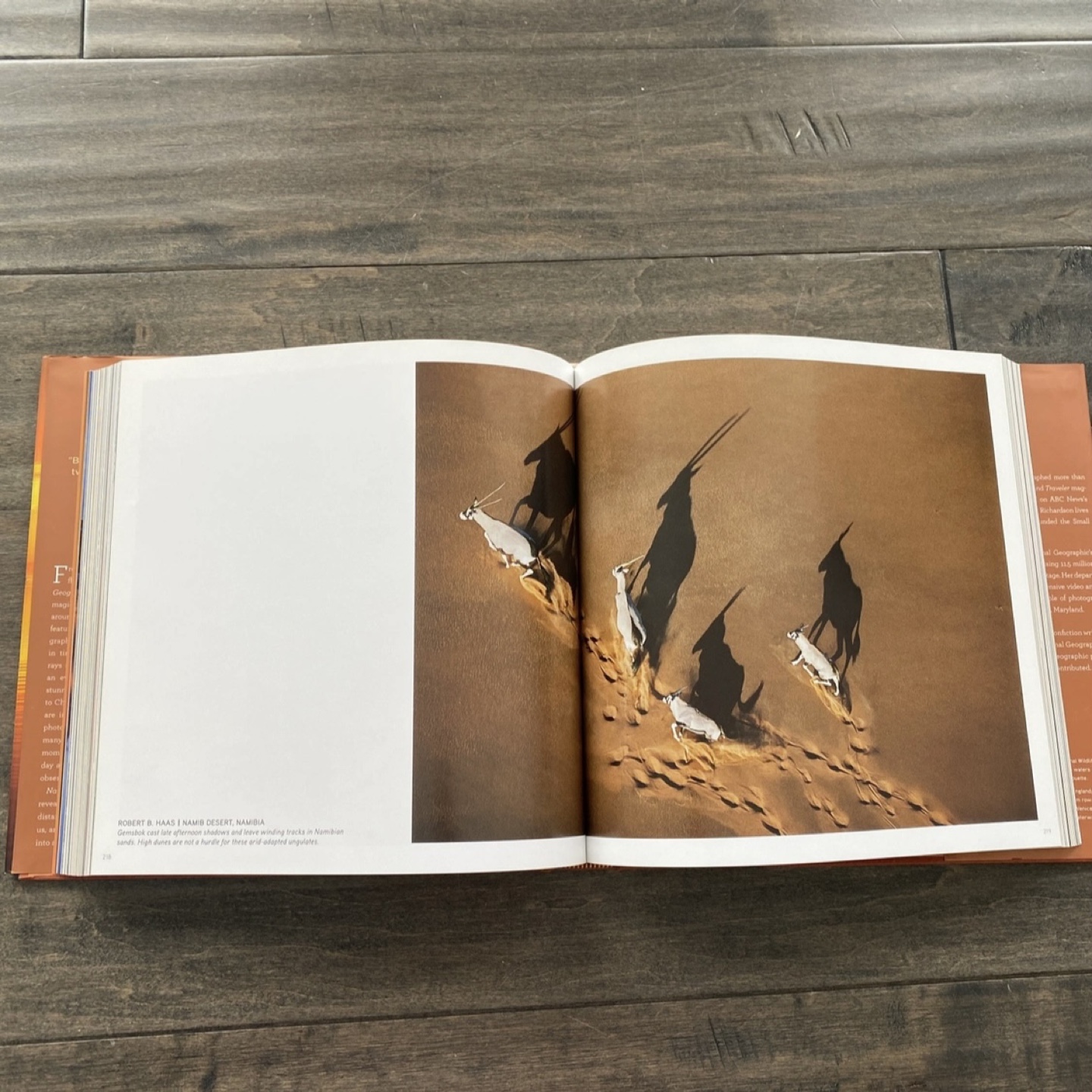 National Geographic Hard Cover Art Book “Dawn to Dark” - photo 3
