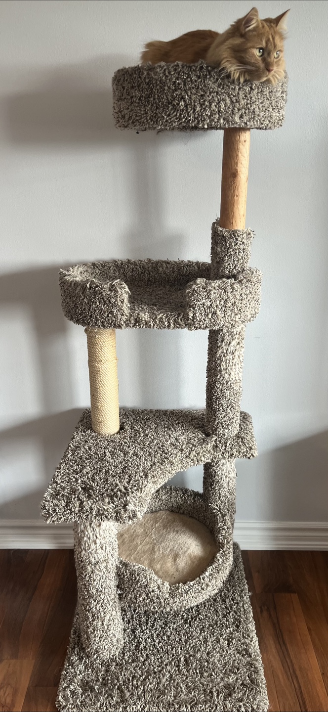 Cat Tree / Cat Tower - Great Condition