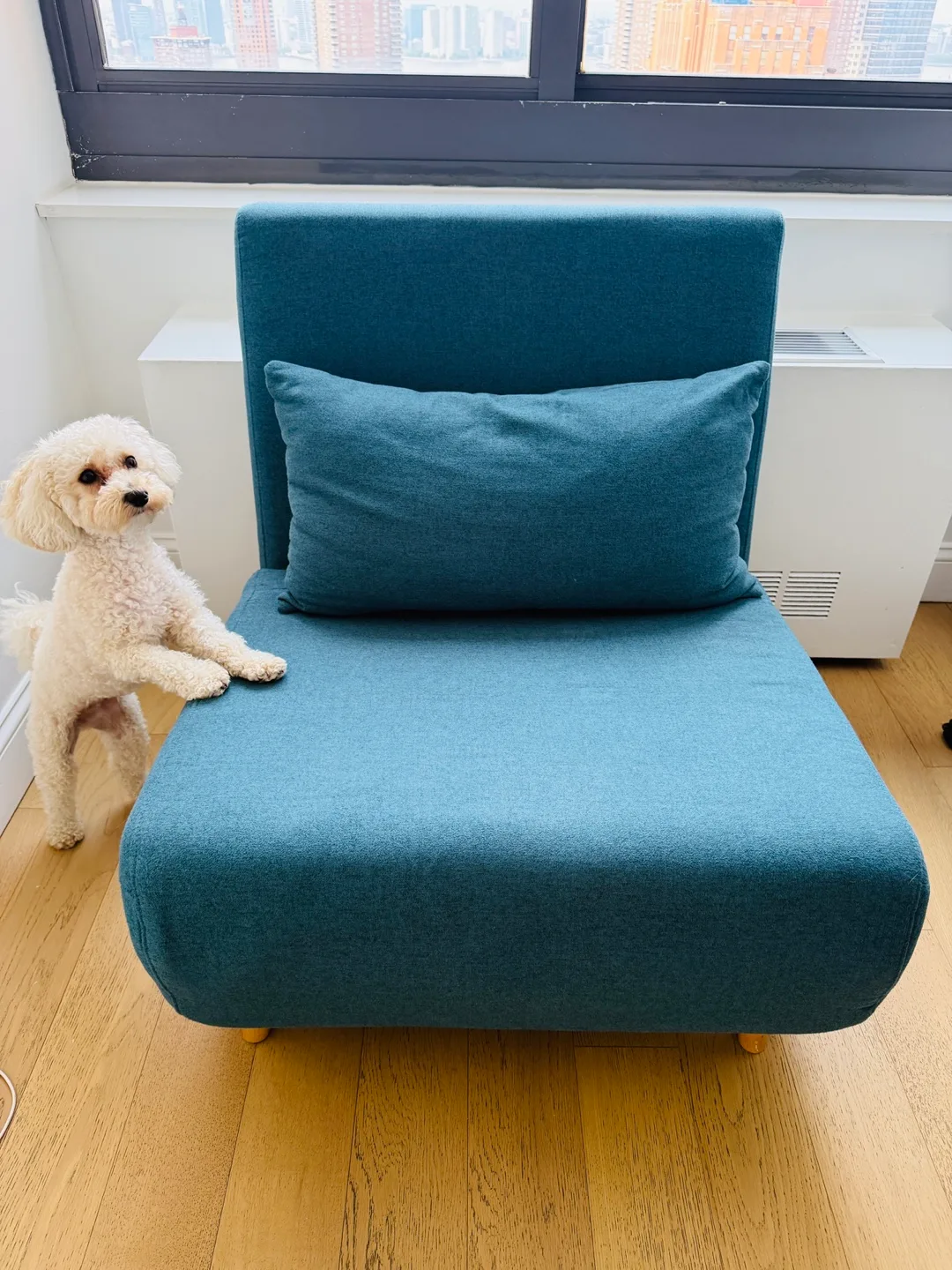 Blue Single Sofa Bed with Pillow thumbnail