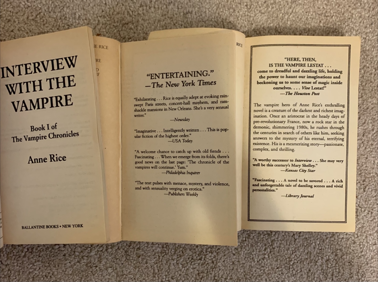 Anne Rice Vampire Chronicles Books - photo 4