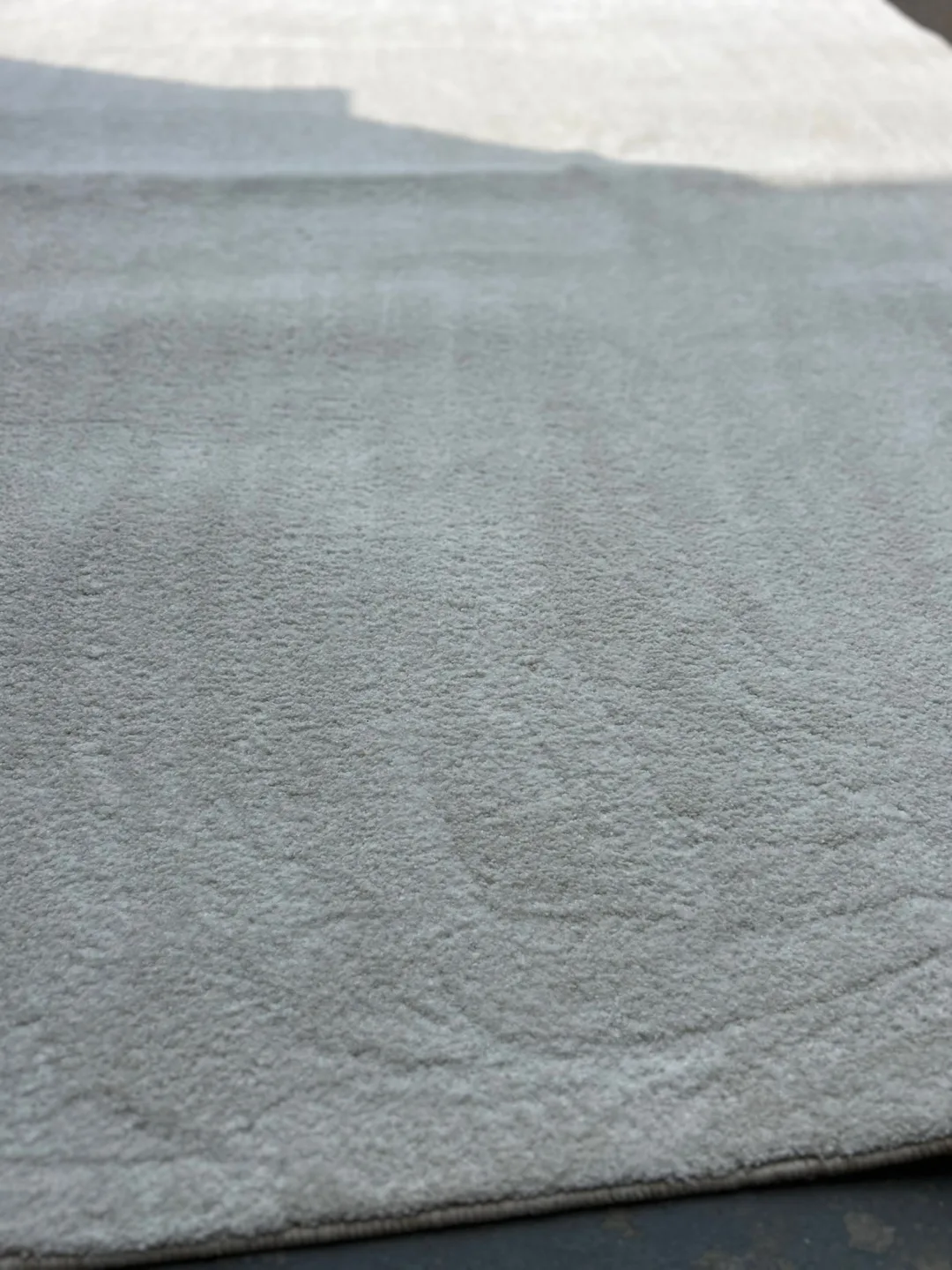Off-white Area Rug thumbnail