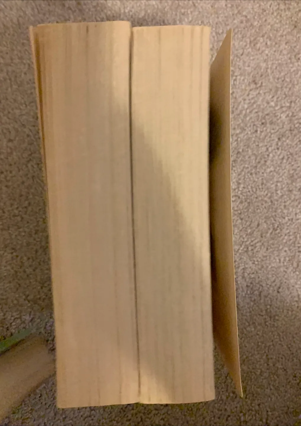 The Fallen Series by Thomas E. Sniegoski image indicator(4)