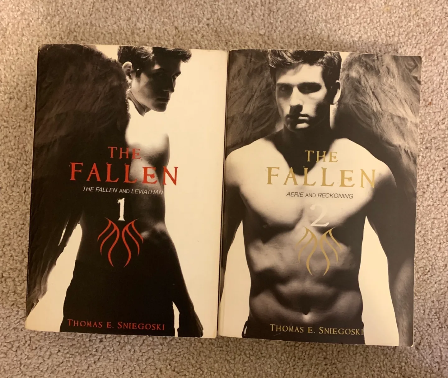 The Fallen Series by Thomas E. Sniegoski