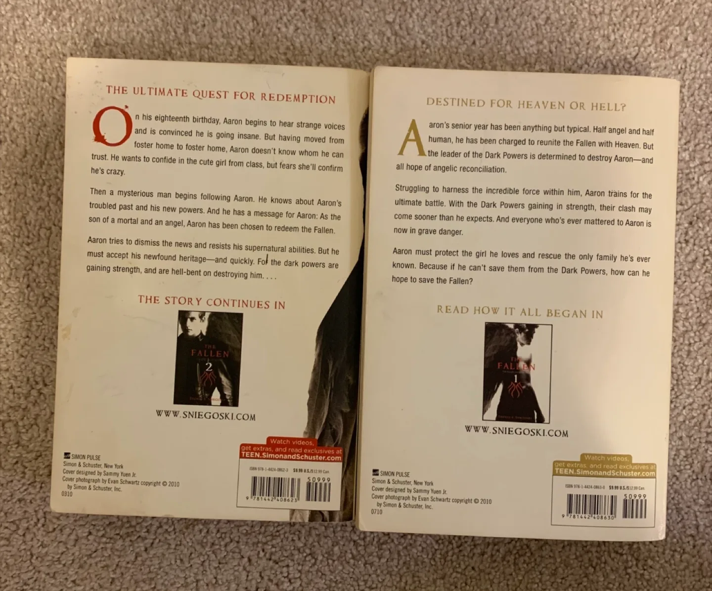 The Fallen Series by Thomas E. Sniegoski image indicator(2)