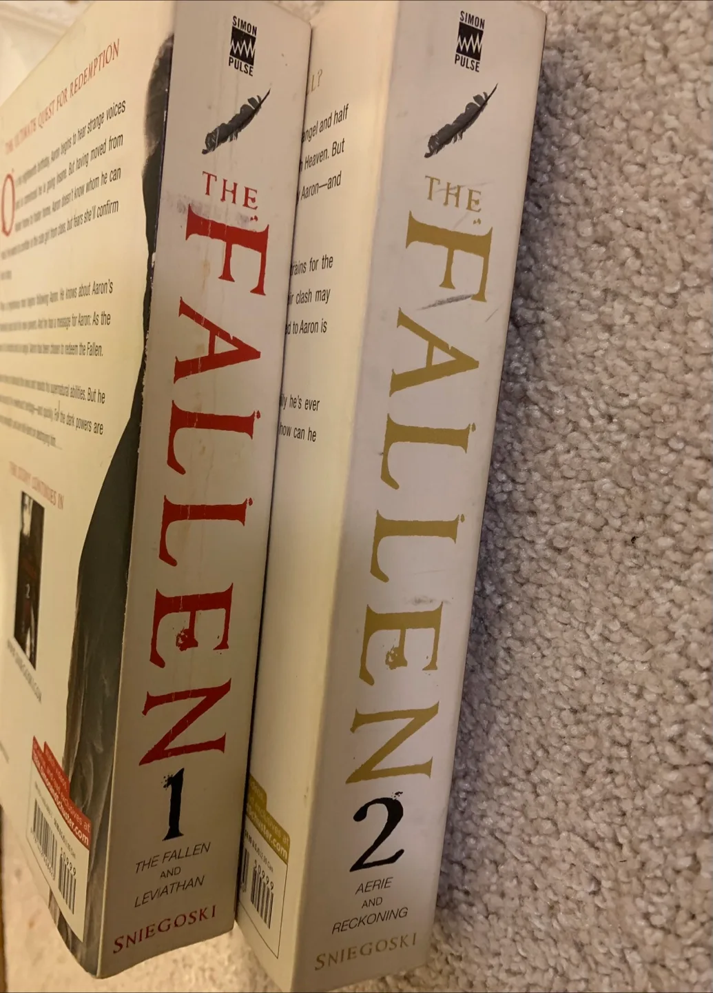 The Fallen Series by Thomas E. Sniegoski image indicator(3)