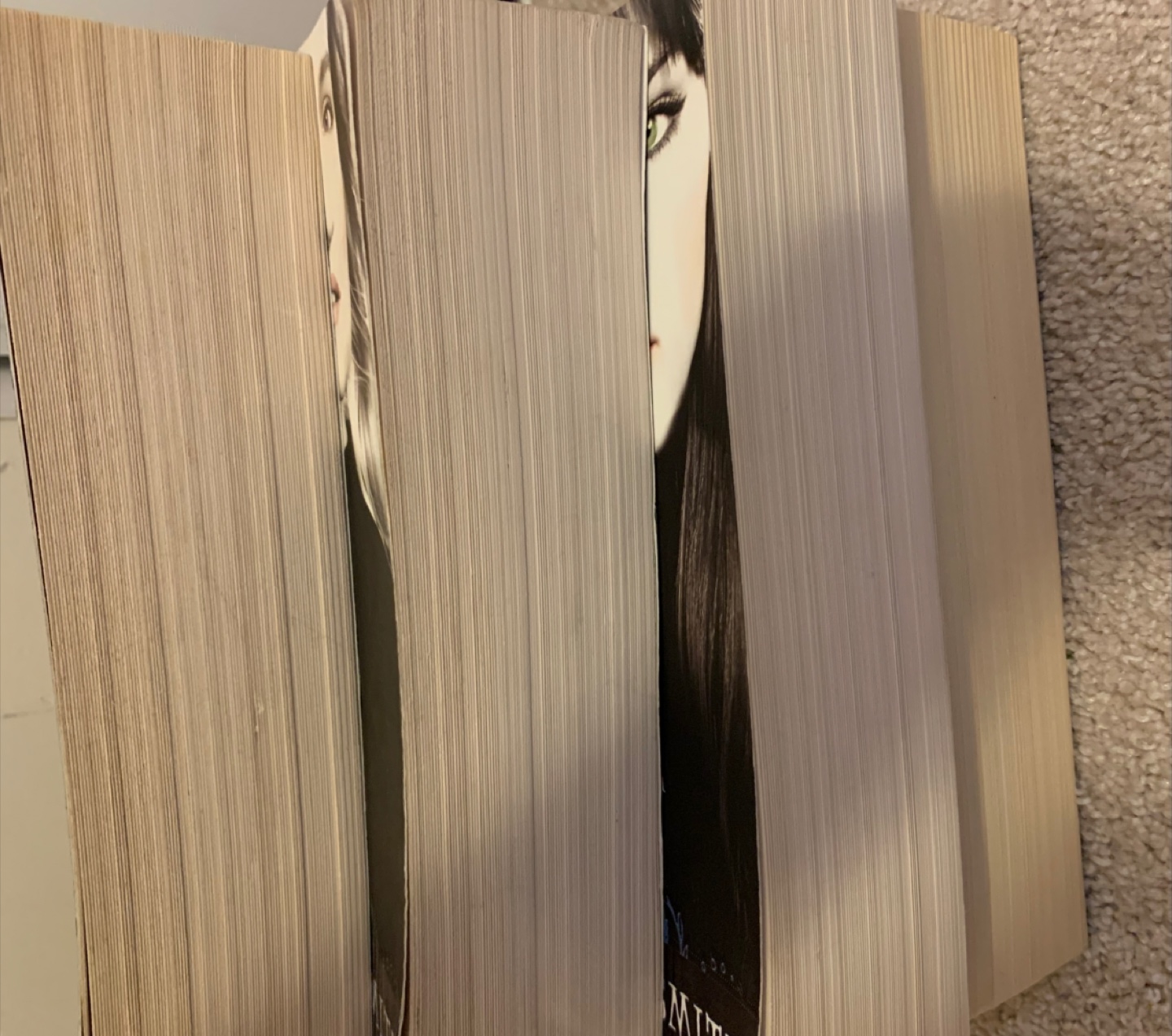 L.J. Smith Book Set – 4 Books - photo 4